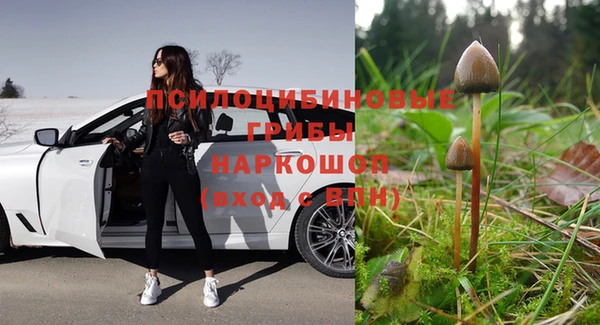 МДПВ Бронницы